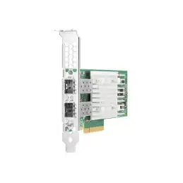 HPE StoreFabric CN1300R Dual Port Converged Network Adapter - Adaptateur réseau - PCIe 3.0 x8 profil bas - 1... (Q0F09A)_1